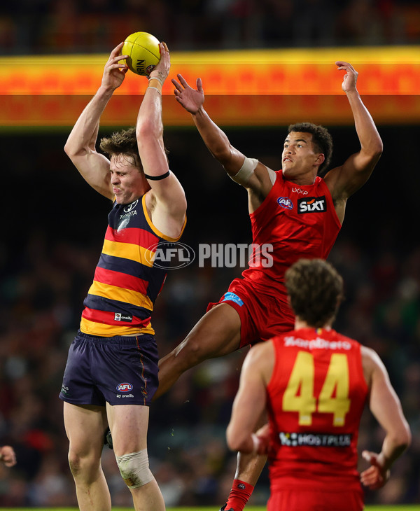 AFL 2025 Round 19 - Adelaide v Gold Coast - A-60689412