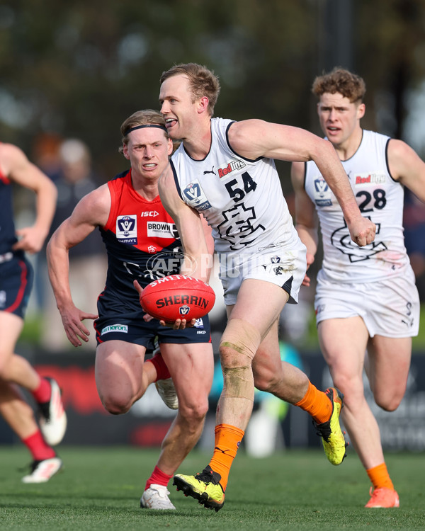 VFL 2025 Round 17 - Casey Demons v Carlton - A-60689429