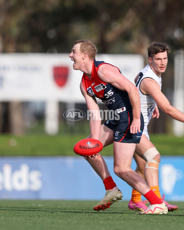 VFL 2025 Round 17 - Casey Demons v Carlton - A-60689445