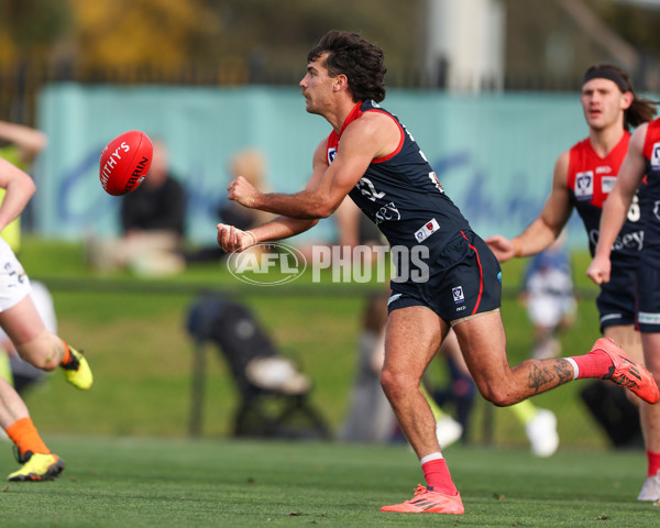 VFL 2025 Round 17 - Casey Demons v Carlton - A-60690014
