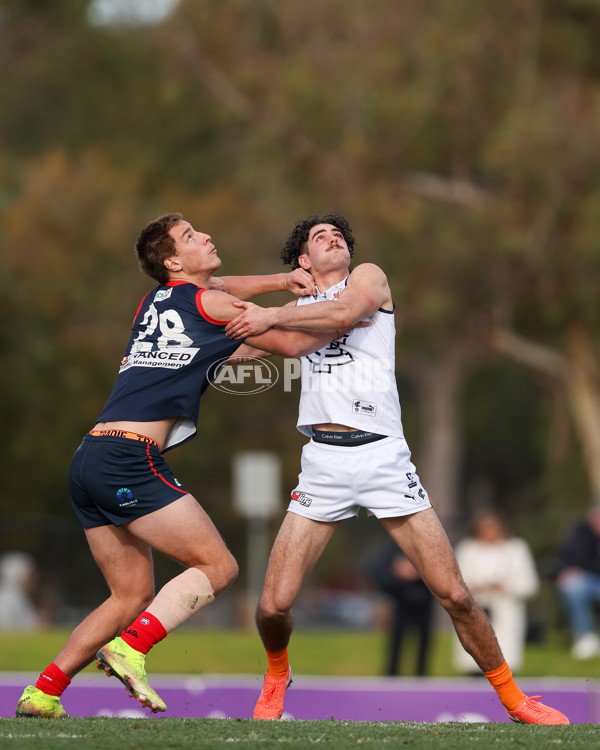 VFL 2025 Round 17 - Casey Demons v Carlton - A-60690032