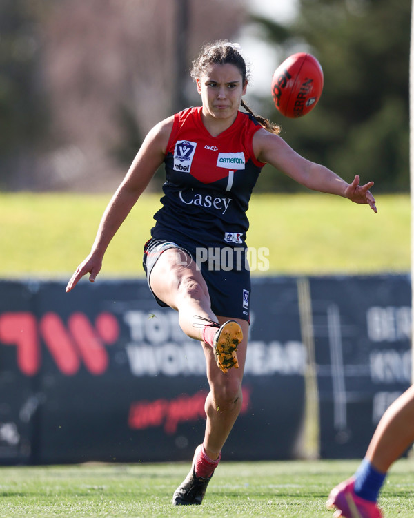 VFLW 2025 Round 13 - Casey Demons v North Melbourne - A-60690063