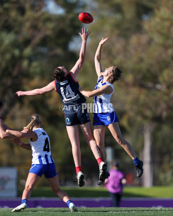 VFLW 2025 Round 13 - Casey Demons v North Melbourne - A-60692018
