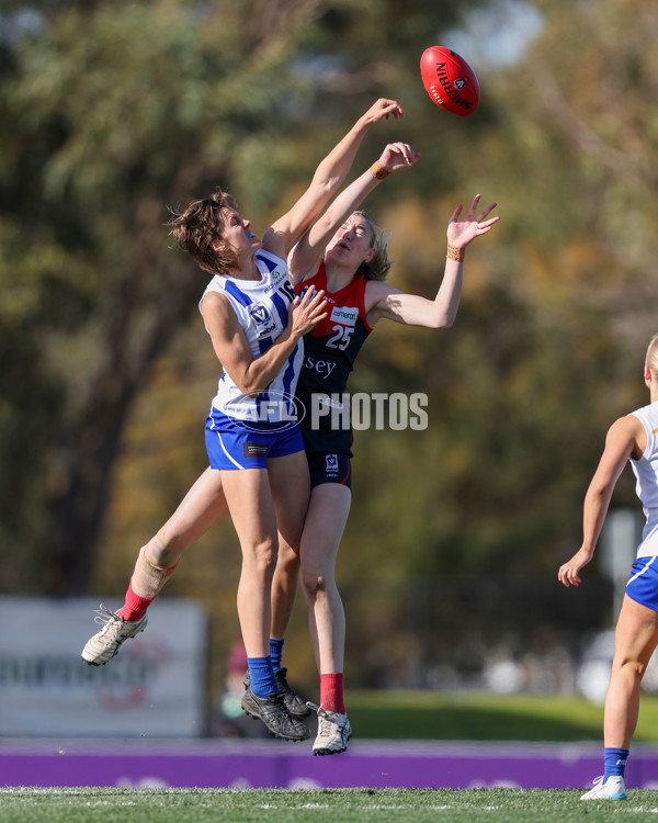 VFLW 2025 Round 13 - Casey Demons v North Melbourne - A-60692039