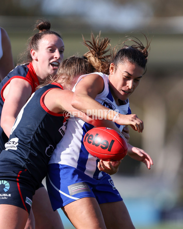 VFLW 2025 Round 13 - Casey Demons v North Melbourne - A-60692041
