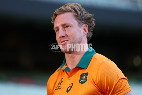 AFL 2025 Media - Australian Wallabies and Essendon Bombers Media Opportunity - A-60706534