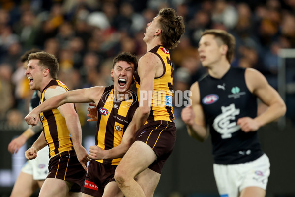 AFL 2025 Round 20 - Hawthorn v Carlton - A-60721009