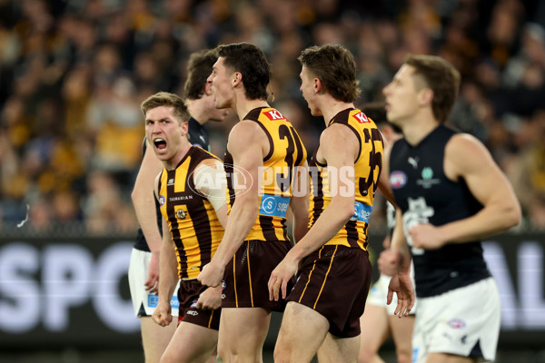 AFL 2025 Round 20 - Hawthorn v Carlton - A-60721039