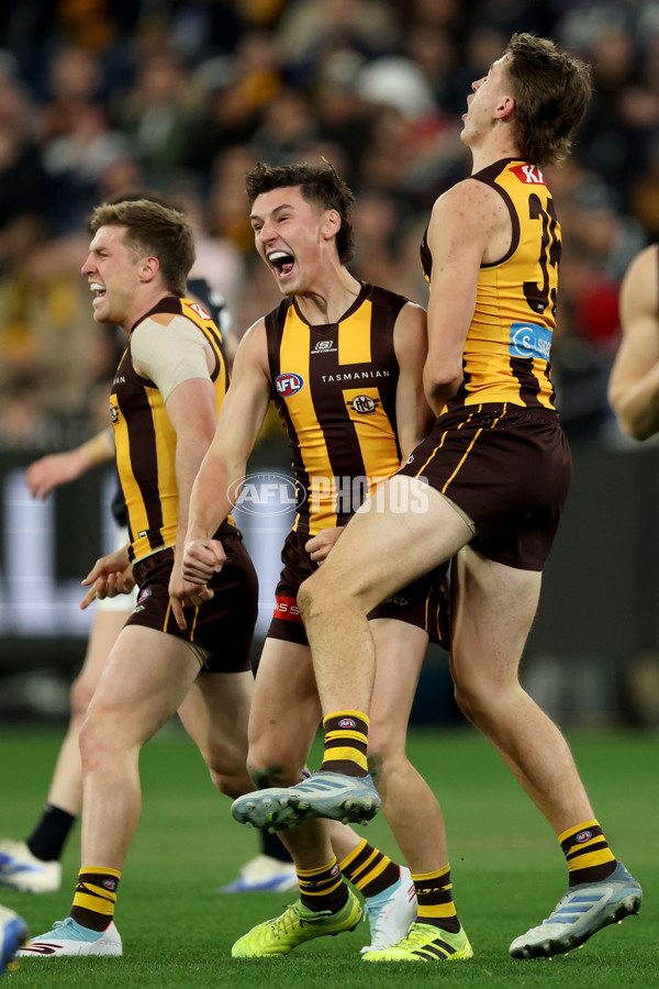 AFL 2025 Round 20 - Hawthorn v Carlton - A-60721306