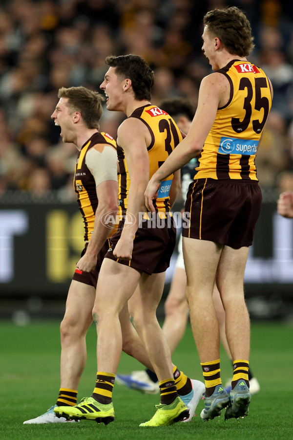 AFL 2025 Round 20 - Hawthorn v Carlton - A-60721307