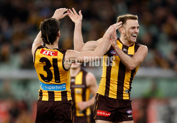AFL 2025 Round 20 - Hawthorn v Carlton - A-60723854