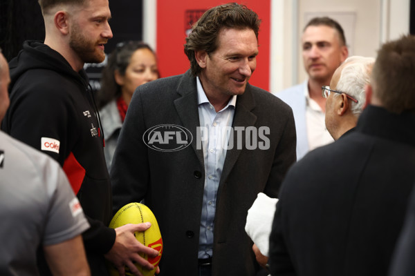 AFL 2025 Round 20 - Essendon v Western Bulldogs - A-60729356