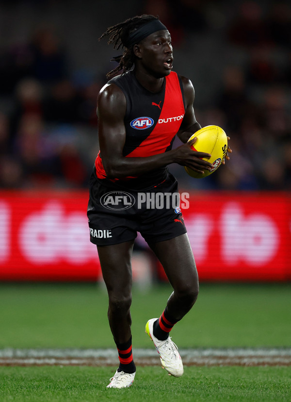 AFL 2025 Round 20 - Essendon v Western Bulldogs - A-60739537