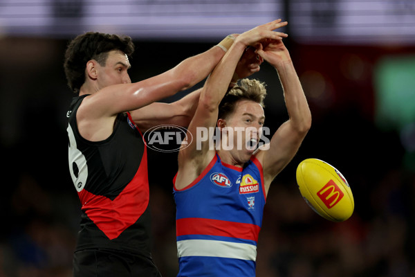 AFL 2025 Round 20 - Essendon v Western Bulldogs - A-60748386