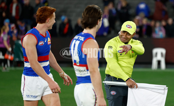 AFL 2025 Round 20 - Essendon v Western Bulldogs - A-60751315