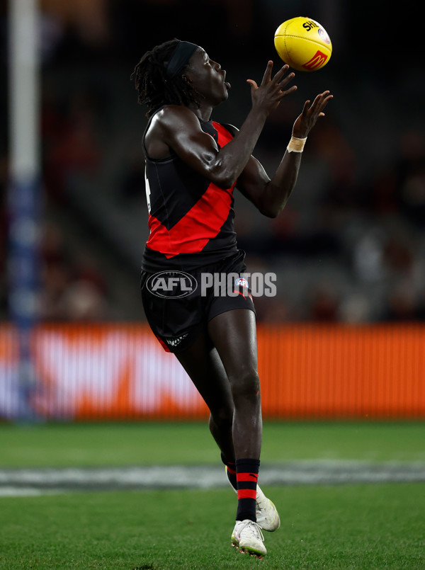 AFL 2025 Round 20 - Essendon v Western Bulldogs - A-60751333