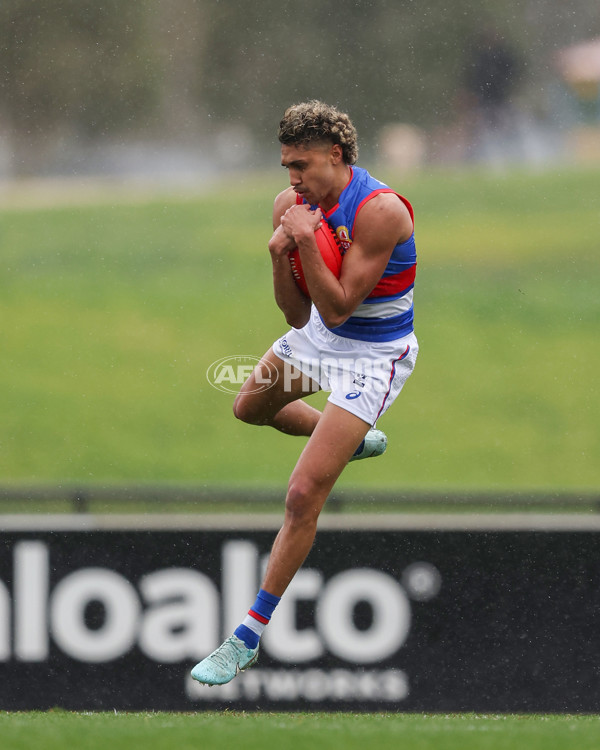 VFL 2025 Round 18 - Essendon v Footscray Bulldogs - A-60753404