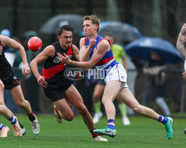 VFL 2025 Round 18 - Essendon v Footscray Bulldogs - A-60765266