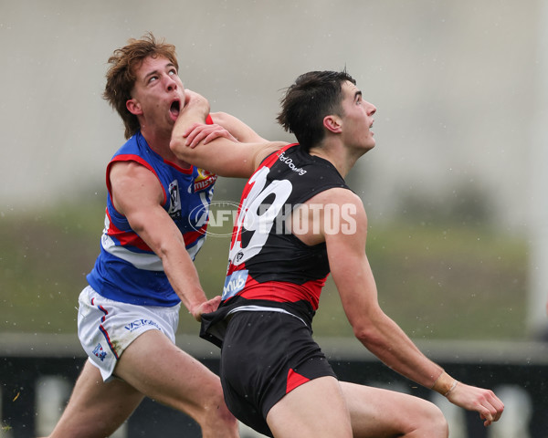 VFL 2025 Round 18 - Essendon v Footscray Bulldogs - A-60765268