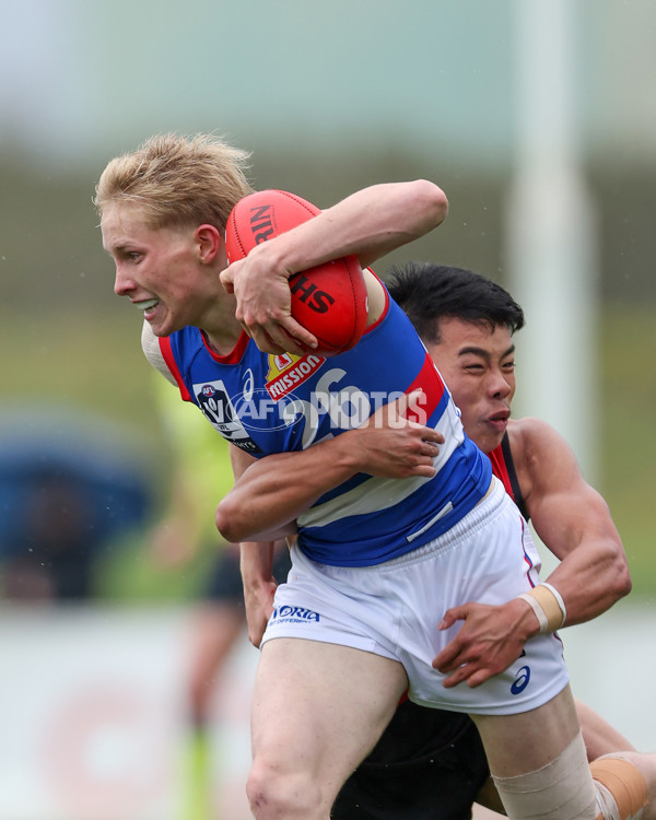 VFL 2025 Round 18 - Essendon v Footscray Bulldogs - A-60765270