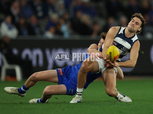 AFL 2025 Round 20 - North Melbourne v Geelong - A-60778155