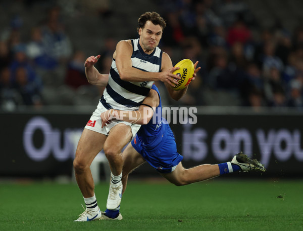 AFL 2025 Round 20 - North Melbourne v Geelong - A-60780401