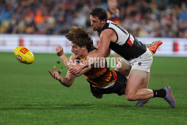 AFL 2025 Round 20 - Adelaide v Port Adelaide - A-60783042