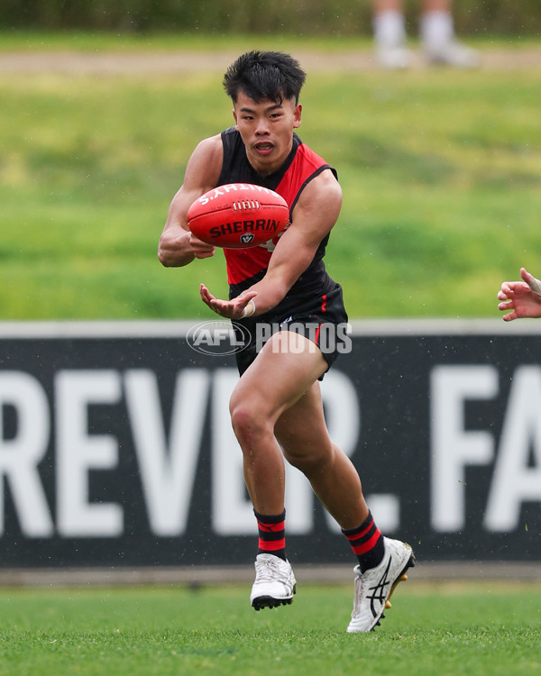 VFL 2025 Round 18 - Essendon v Footscray Bulldogs - A-60786036