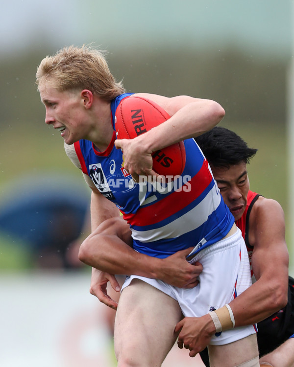 VFL 2025 Round 18 - Essendon v Footscray Bulldogs - A-60786038