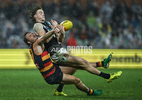 AFL 2025 Round 20 - Adelaide v Port Adelaide - A-60788408