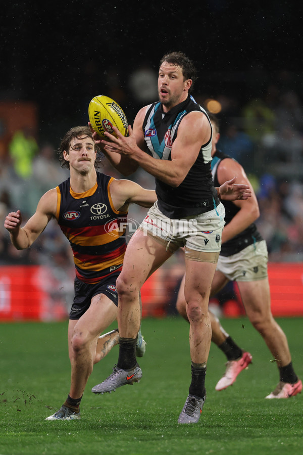 AFL 2025 Round 20 - Adelaide v Port Adelaide - A-60788463