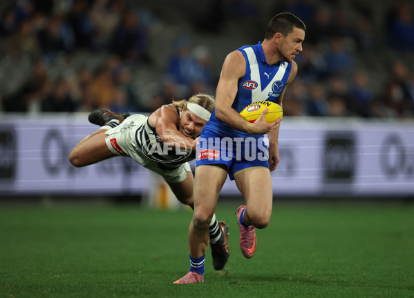 AFL 2025 Round 20 - North Melbourne v Geelong - A-60788638