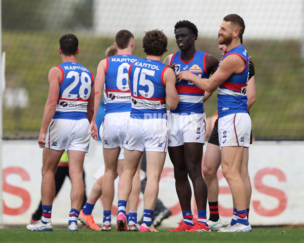 VFL 2025 Round 18 - Essendon v Footscray Bulldogs - A-60791392