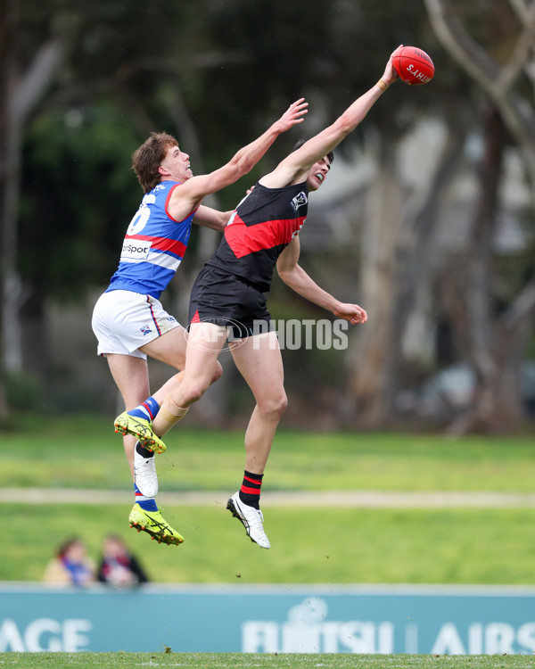 VFL 2025 Round 18 - Essendon v Footscray Bulldogs - A-60793225