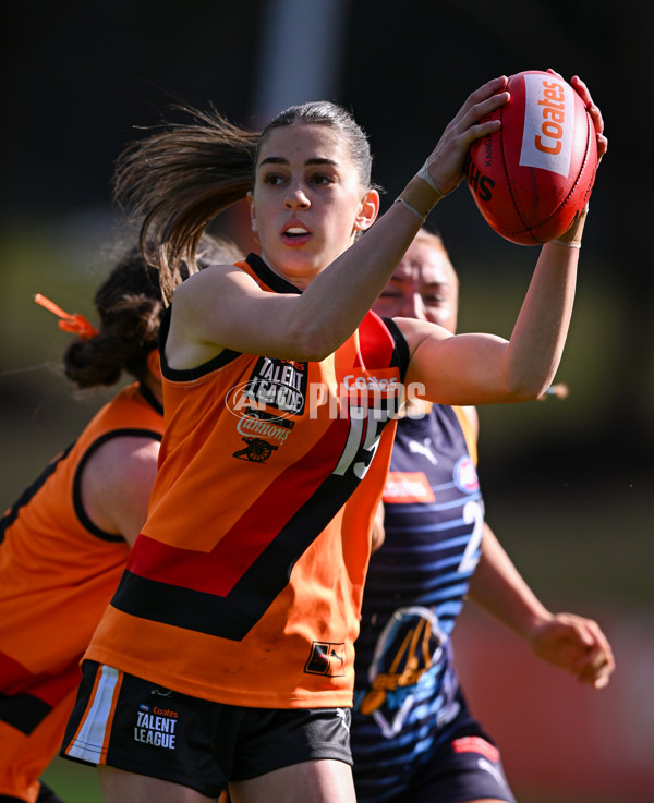 Coates League Girls 2025 Round 15 - Calder Cannons v Bendigo Pioneers - A-60800920