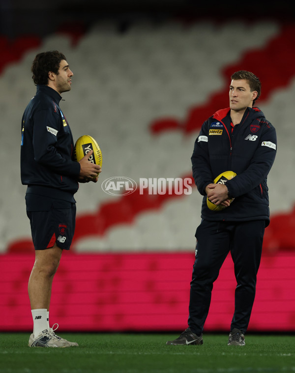 AFL 2025 Round 20 - St Kilda v Melbourne - A-60802082
