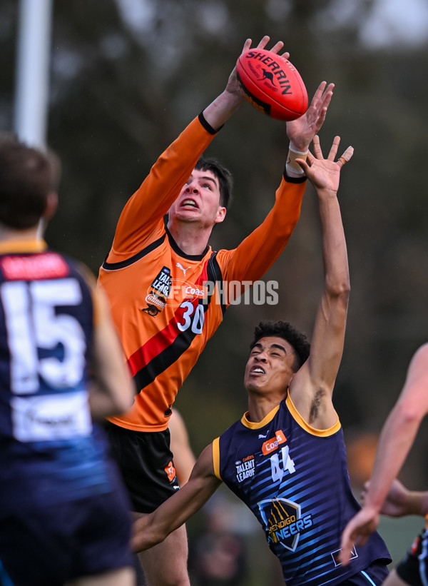 Coates League Boys 2025 Round 16 - Calder Cannons v Bendigo Pioneers - A-60802096