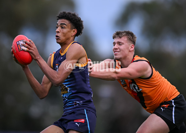 Coates League Boys 2025 Round 16 - Calder Cannons v Bendigo Pioneers - A-60803577