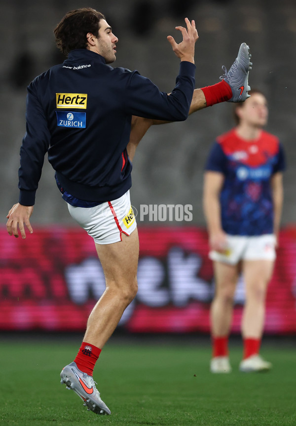 AFL 2025 Round 20 - St Kilda v Melbourne - A-60807473