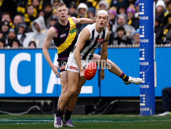 AFL 2025 Round 20 - Richmond v Collingwood - A-60807529