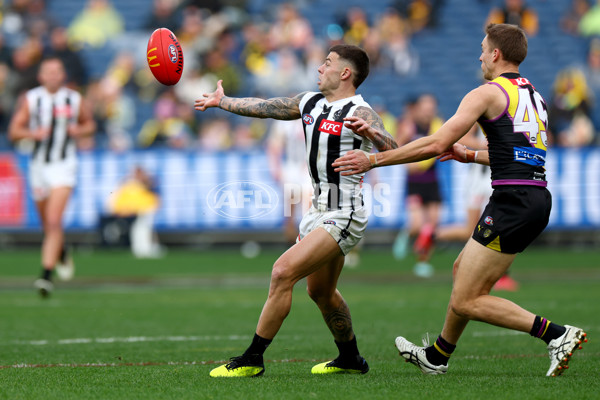 AFL 2025 Round 20 - Richmond v Collingwood - A-60813288