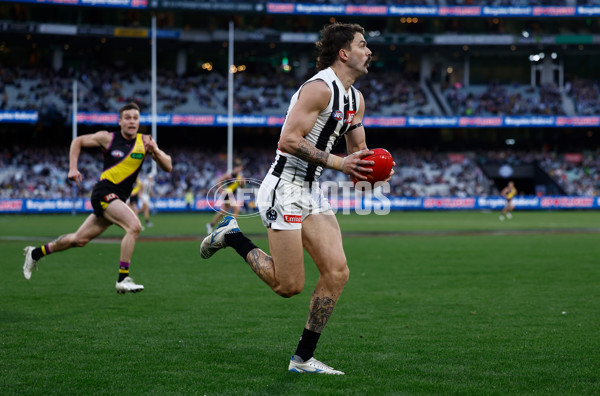 AFL 2025 Round 20 - Richmond v Collingwood - A-60818638