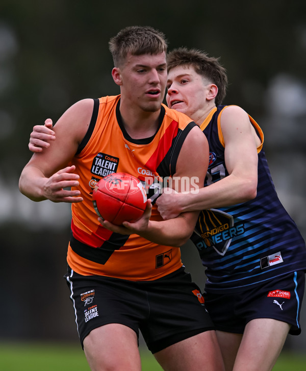 Coates League Boys 2025 Round 16 - Calder Cannons v Bendigo Pioneers - A-60824225