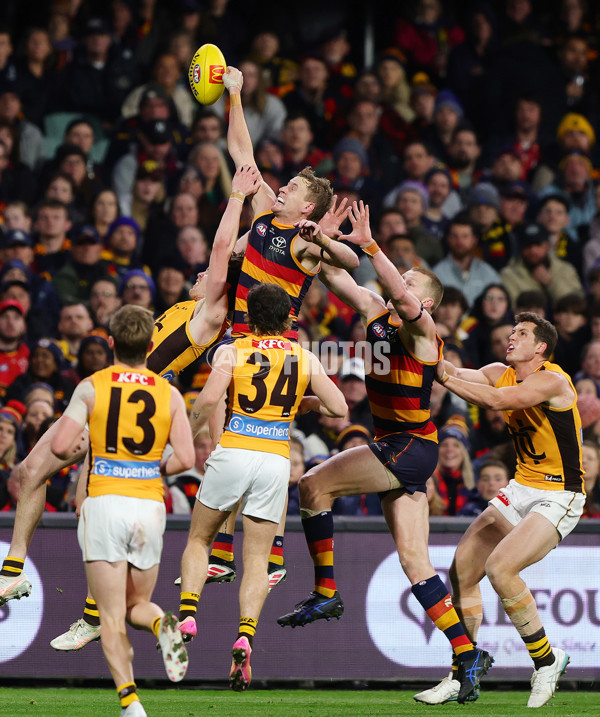 AFL 2025 Round 21 - Adelaide v Hawthorn - A-60872384