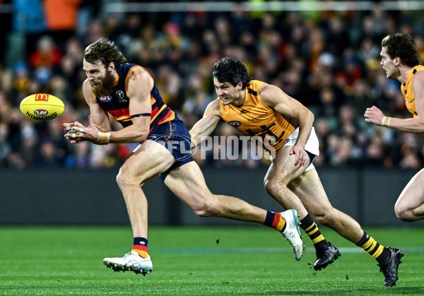 AFL 2025 Round 21 - Adelaide v Hawthorn - A-60875534