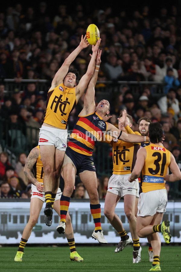 AFL 2025 Round 21 - Adelaide v Hawthorn - A-60875541