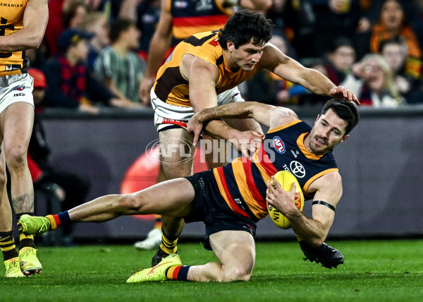 AFL 2025 Round 21 - Adelaide v Hawthorn - A-60879264