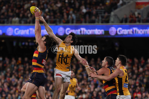 AFL 2025 Round 21 - Adelaide v Hawthorn - A-60898174