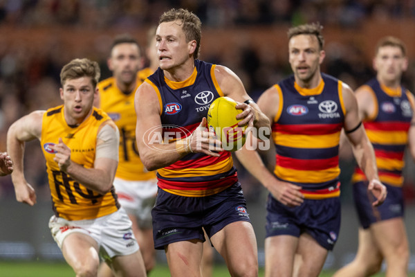 AFL 2025 Round 21 - Adelaide v Hawthorn - A-60905500