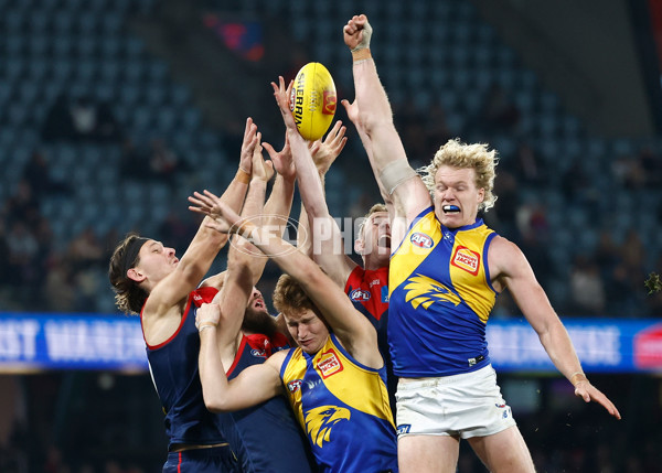 AFL 2025 Round 21 - Melbourne v West Coast - A-60993747